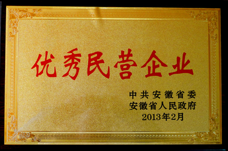 皖南電機:優(yōu)秀民營企業(yè) 皖南電機:優(yōu)秀民營企業(yè)