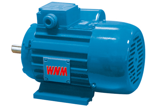 YY系列單相異步電動(dòng)機(jī) YY系列單相異步電動(dòng)機(jī)