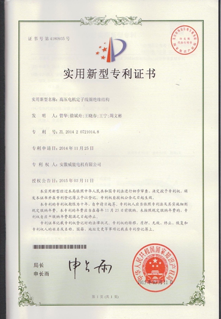 皖南電機(jī)專利|高壓電機(jī)定子線圈絕緣結(jié)構(gòu) 皖南電機(jī)專利|高壓電機(jī)定子線圈絕緣結(jié)構(gòu)