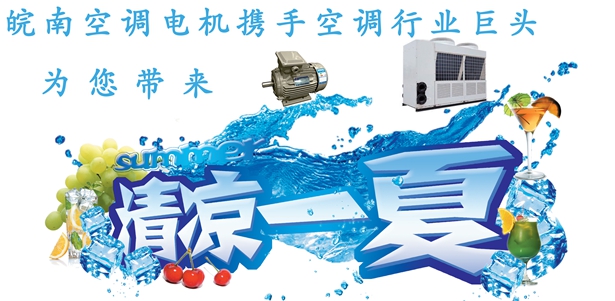 空調(diào)電機(jī) 空調(diào)電機(jī)