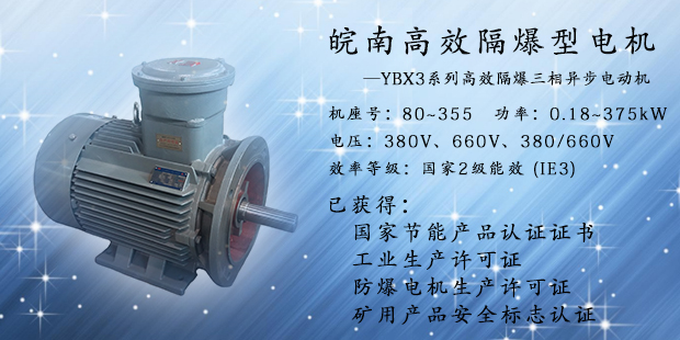 皖南防爆高效電機 皖南防爆高效電機