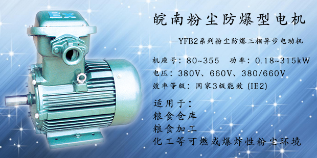 粉塵防爆電機 粉塵防爆電機