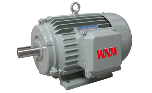 YJZ2系列機(jī)床專(zhuān)用三相異步電動(dòng)機(jī) YJZ2系列機(jī)床專(zhuān)用三相異步電動(dòng)機(jī)