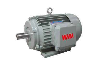YJZ2系列機(jī)床專用三相異步電動(dòng)機(jī) YJZ2系列機(jī)床專用三相異步電動(dòng)機(jī)
